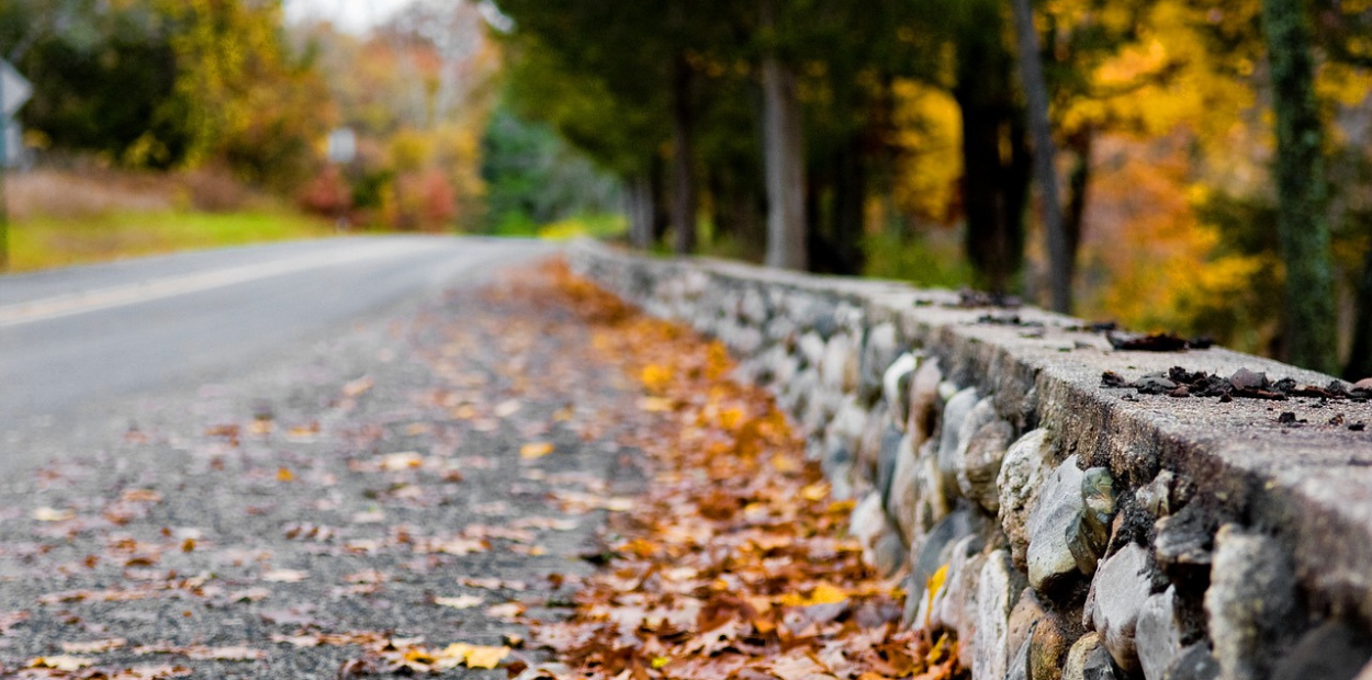 Road with colourful leaves and a low stone wall